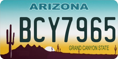 AZ license plate BCY7965