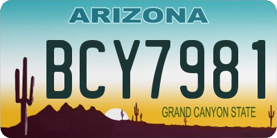 AZ license plate BCY7981