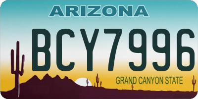 AZ license plate BCY7996