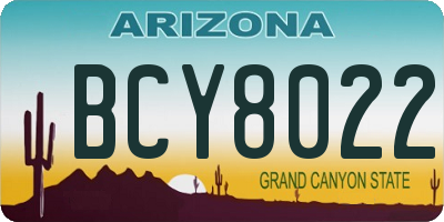 AZ license plate BCY8022