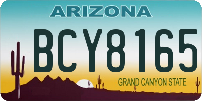 AZ license plate BCY8165