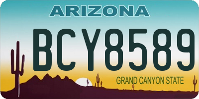 AZ license plate BCY8589