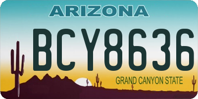 AZ license plate BCY8636