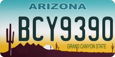 AZ license plate BCY9390