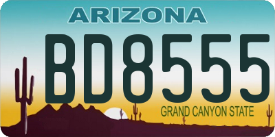 AZ license plate BD8555