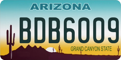 AZ license plate BDB6009