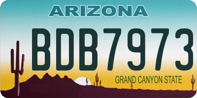 AZ license plate BDB7973