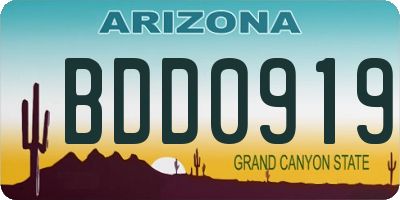 AZ license plate BDD0919