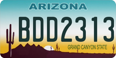 AZ license plate BDD2313
