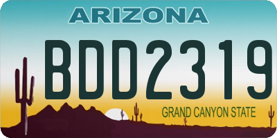 AZ license plate BDD2319
