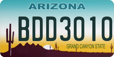 AZ license plate BDD3010
