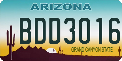 AZ license plate BDD3016