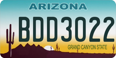 AZ license plate BDD3022