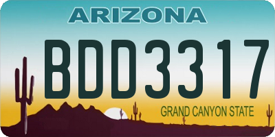 AZ license plate BDD3317