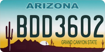 AZ license plate BDD3602