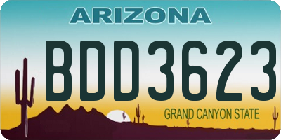 AZ license plate BDD3623