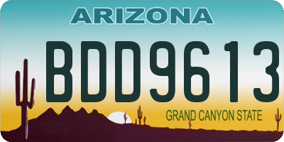 AZ license plate BDD9613