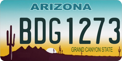 AZ license plate BDG1273