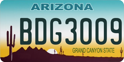 AZ license plate BDG3009