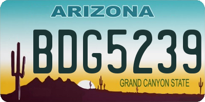 AZ license plate BDG5239