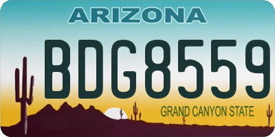 AZ license plate BDG8559