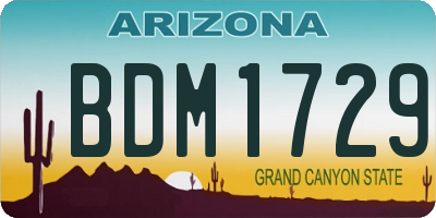AZ license plate BDM1729