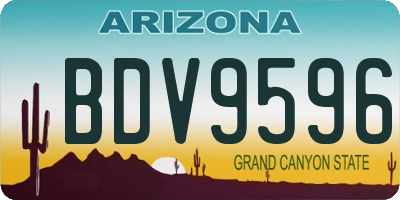 AZ license plate BDV9596