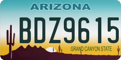 AZ license plate BDZ9615