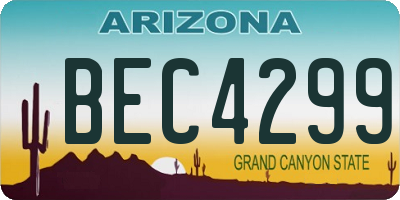 AZ license plate BEC4299