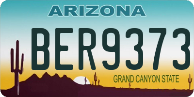 AZ license plate BER9373