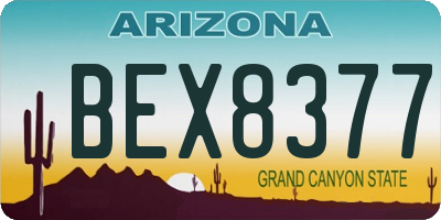 AZ license plate BEX8377