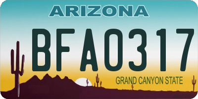 AZ license plate BFA0317