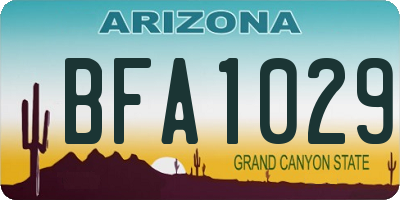 AZ license plate BFA1029