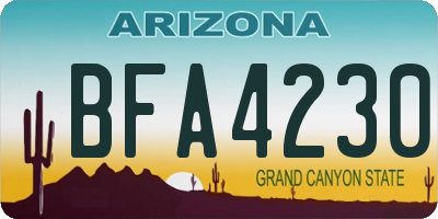 AZ license plate BFA4230