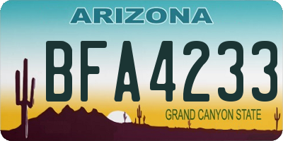 AZ license plate BFA4233