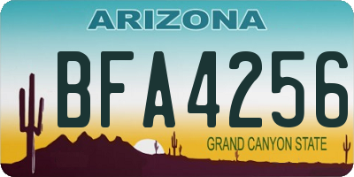AZ license plate BFA4256