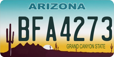 AZ license plate BFA4273