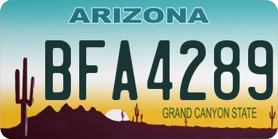 AZ license plate BFA4289