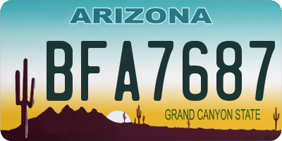 AZ license plate BFA7687