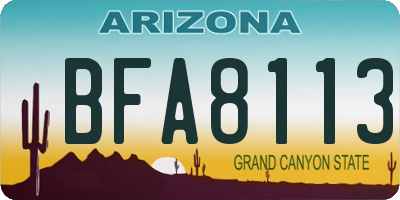 AZ license plate BFA8113