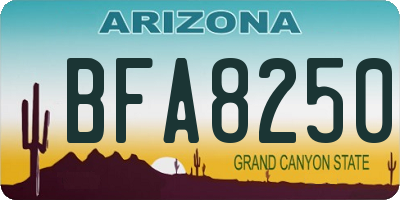 AZ license plate BFA8250