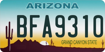 AZ license plate BFA9310