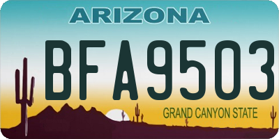 AZ license plate BFA9503