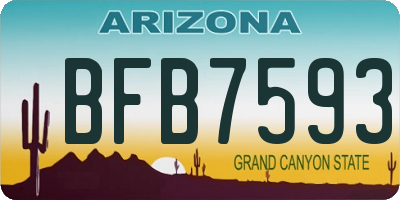AZ license plate BFB7593