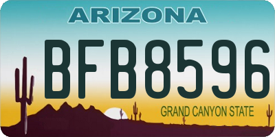 AZ license plate BFB8596