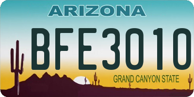 AZ license plate BFE3010