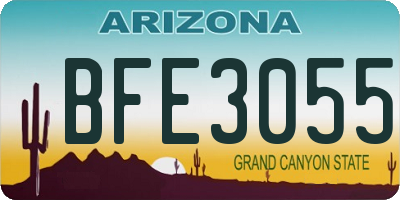 AZ license plate BFE3055