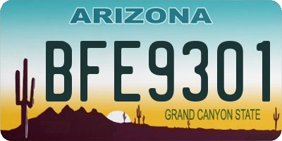 AZ license plate BFE9301