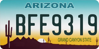 AZ license plate BFE9319