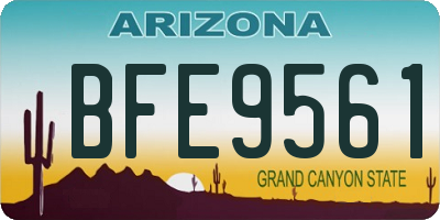 AZ license plate BFE9561